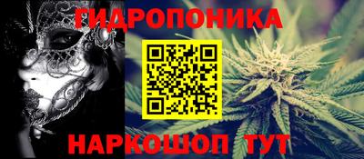 СК Сланцы