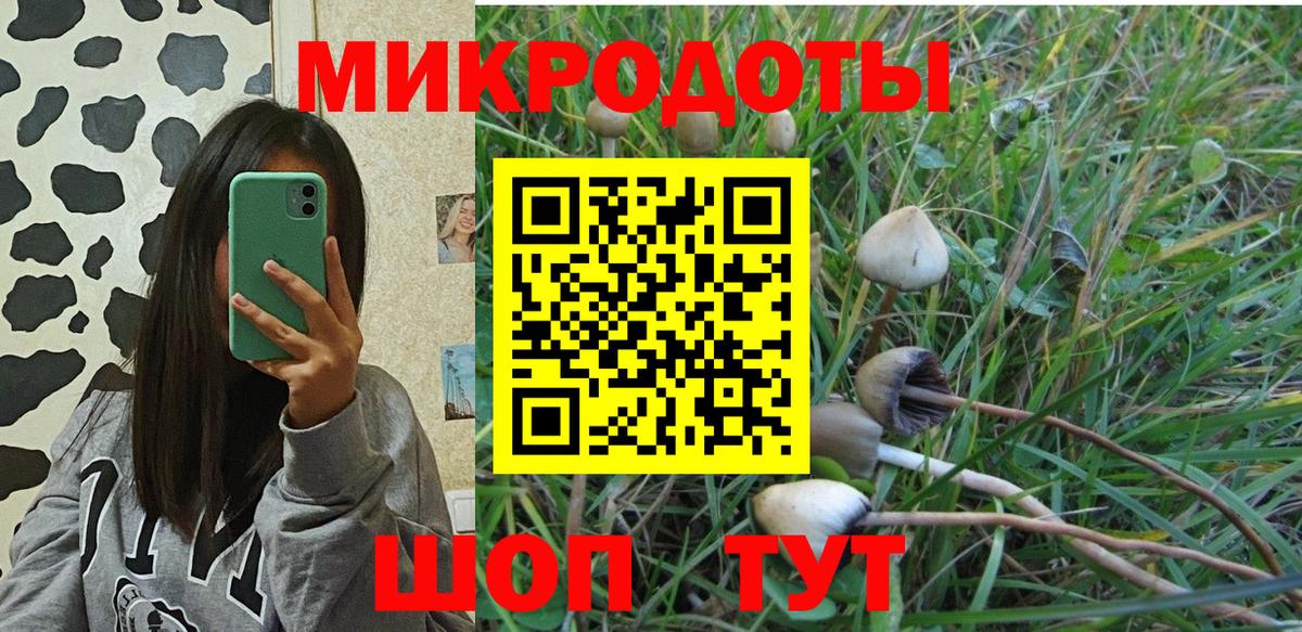 Псилоцибиновые грибы Psilocybe Ревда