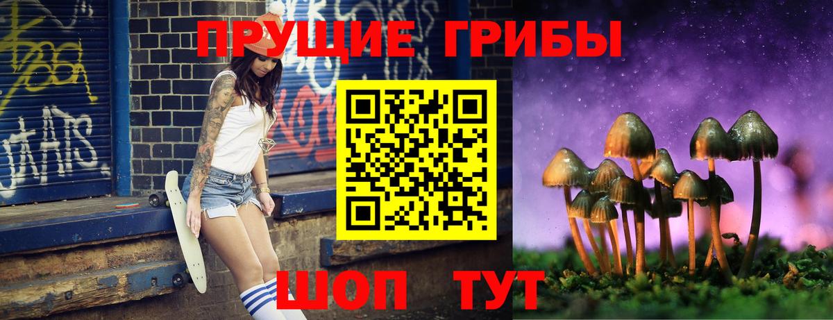 Галлюциногенные грибы Cubensis  Вход с VPN  Ревда 